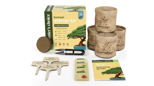 A complete bonsai tree starter kit featuring four types of seeds, labeled pots, soil discs, shears, and beginner-friendly tools, arranged neatly on a wooden table.