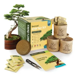 A complete bonsai tree starter kit featuring four types of seeds, labeled pots, soil discs, shears, and beginner-friendly tools, arranged neatly on a wooden table.