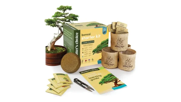 A complete bonsai tree starter kit featuring four types of seeds, labeled pots, soil discs, shears, and beginner-friendly tools, arranged neatly on a wooden table.