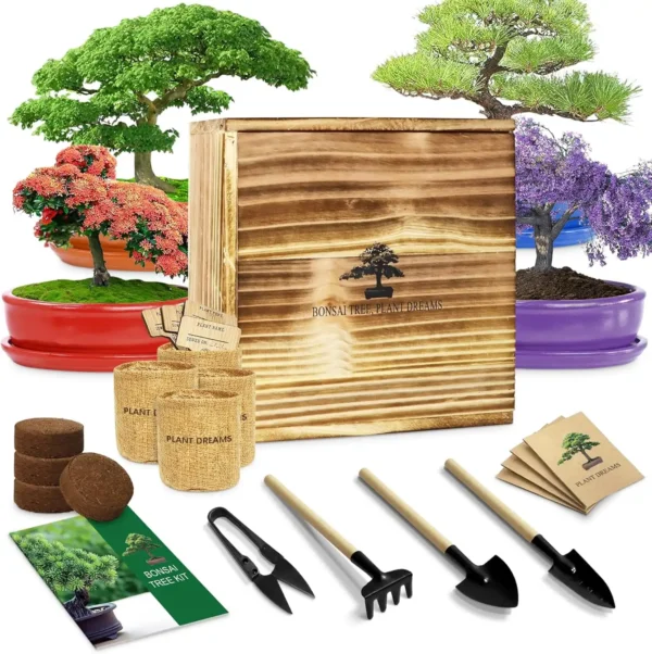 Complete bonsai starter kit with wooden box, garden tools, bonsai tree seed packets, and potted bonsai trees in the background, showcasing colorful and mature bonsai trees.