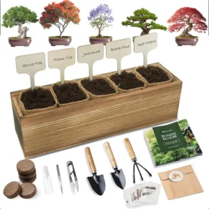 Bonsai growing kit with 5 jute pots labeled with tree types, soil-filled planter box, tools, seed packets, and bonsai instruction guide.