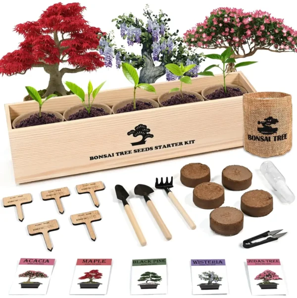Complete bonsai starter kit with seeds, labeled pots, wooden planter, tools, soil discs, and bonsai varieties like Acacia, Maple, Black Pine, Wisteria, and Judas Tree.