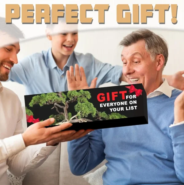 Family surprising an elderly man with a bonsai tree starter kit gift box; text says “Perfect Gift!”